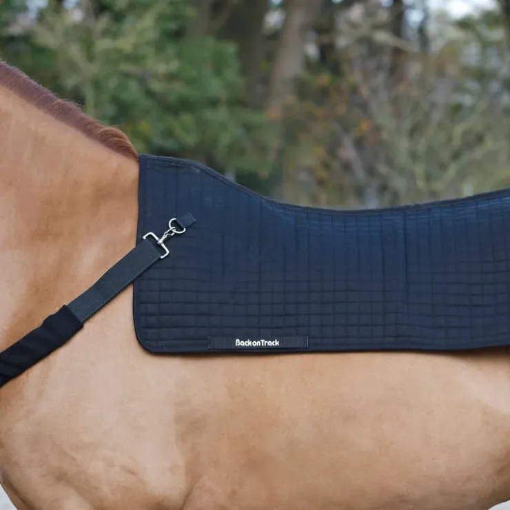 Back on Track Back Warmer Royal Protege dos Clearance