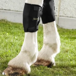 Back on Track Genouillère Droite Cheval Hot