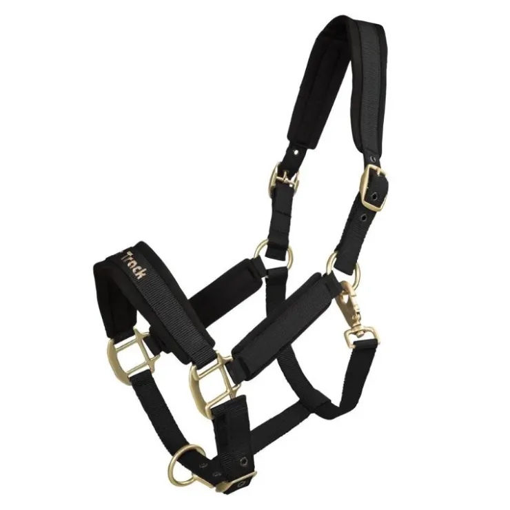 Back on Track Licol Werano Noir Outlet