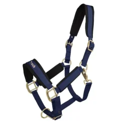 Back on Track Licol Werano Bleu Outlet