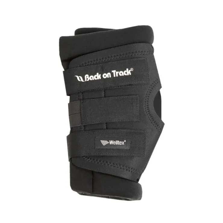 Back on Track Protege Jarret Cheval Royal Online