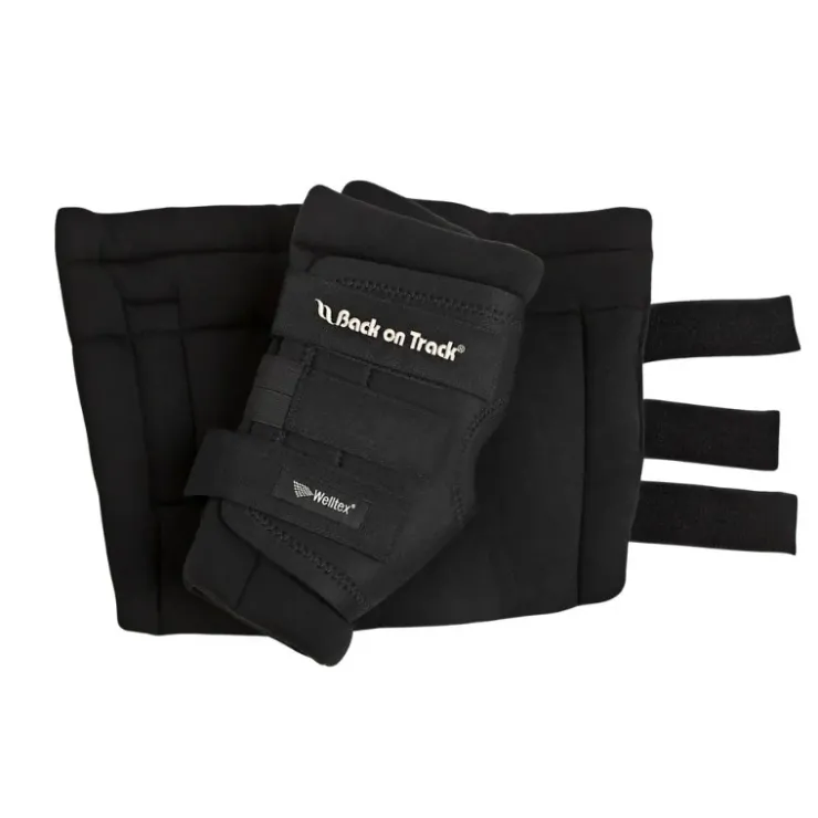 Back on Track Protege Jarret Cheval Royal Online