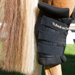 Back on Track Protege Jarret Cheval Royal Online