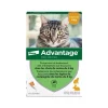 Bayer Advantage Pipette Anti Puce Chat Sale