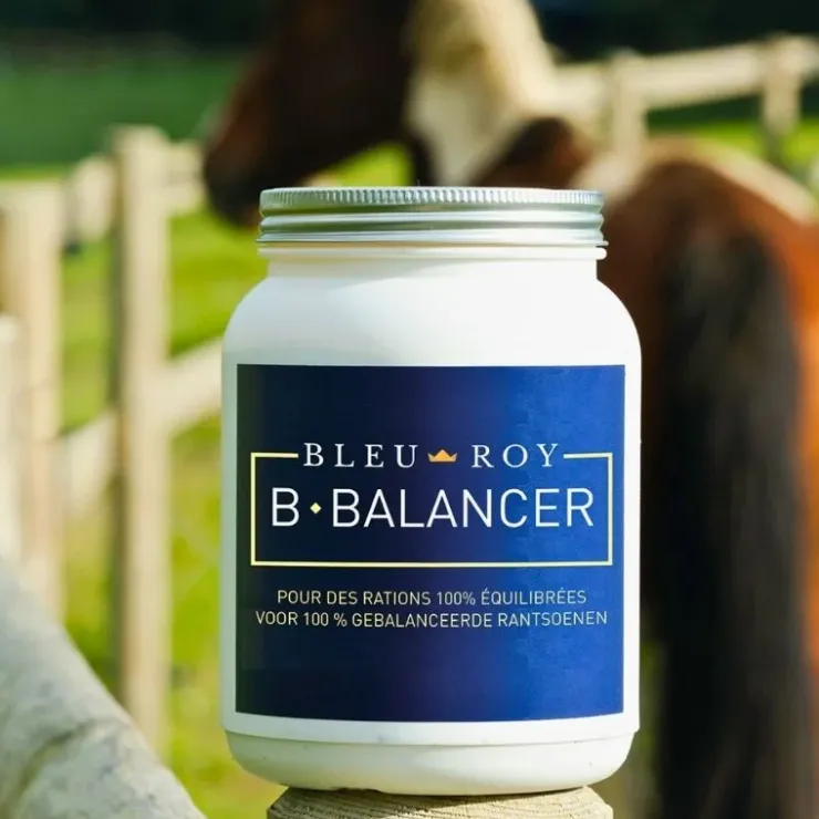 Bleu-Roy B-Balancer Sale