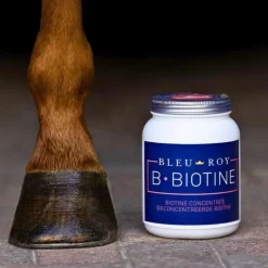 Bleu-Roy B-Biotine Hot