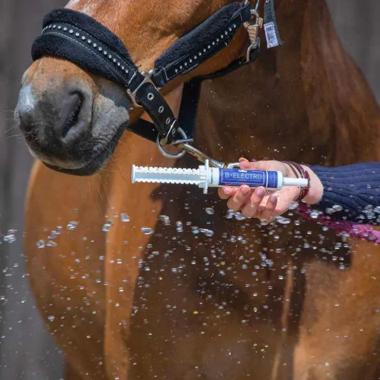 Bleu-Roy B-Electro Compact Sale