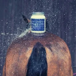 Bleu-Roy B-Electrolytes