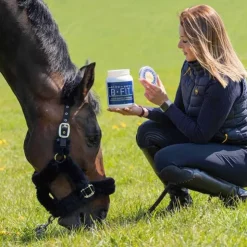 Bleu-Roy B-Fit Outlet