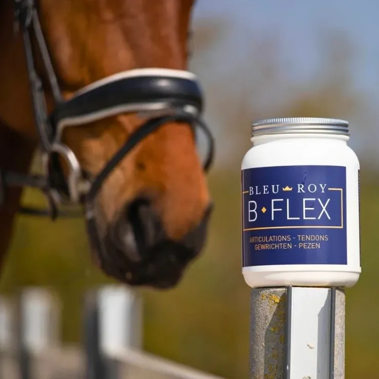 Bleu-Roy B-Flex Outlet