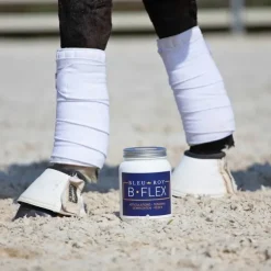 Bleu-Roy B-Flex Outlet