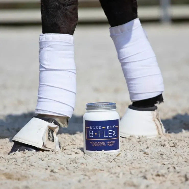 Bleu-Roy B-Flex Outlet