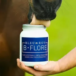 Bleu-Roy B-Flore Outlet