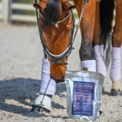 Bleu-Roy B-Gastromix Online