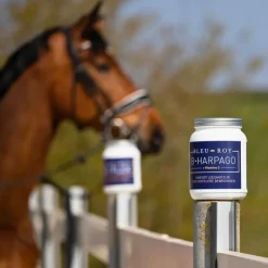 Bleu-Roy B-Harpago Clearance