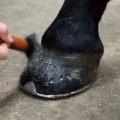 Bleu-Roy Hoof Cream Outlet