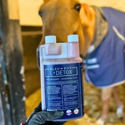 Bleu-Roy L-Detox Best