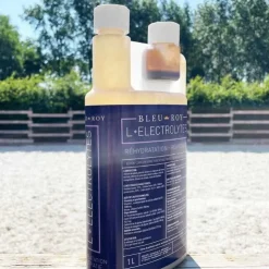 Bleu-Roy L-Electrolytes Hot