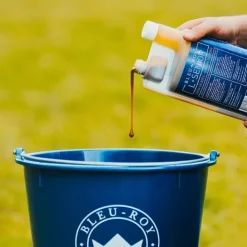 Bleu-Roy L-Senior Sale