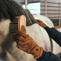 Borstiq Farm Borstiq Brosse Banane Polypropylène Sale