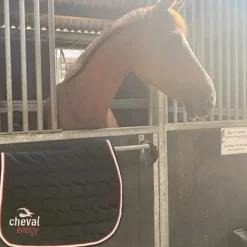 Cheval Energy - Les Goodies Cheval Energy Tapis CSO Sale