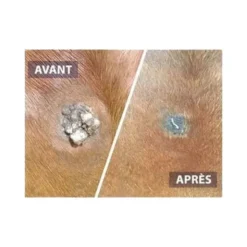 DRJ developpement Serkyl Outlet