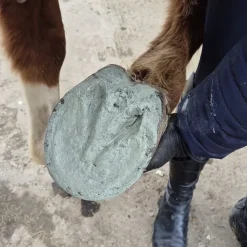 Eki-Zen Argile Sabot-Zen New