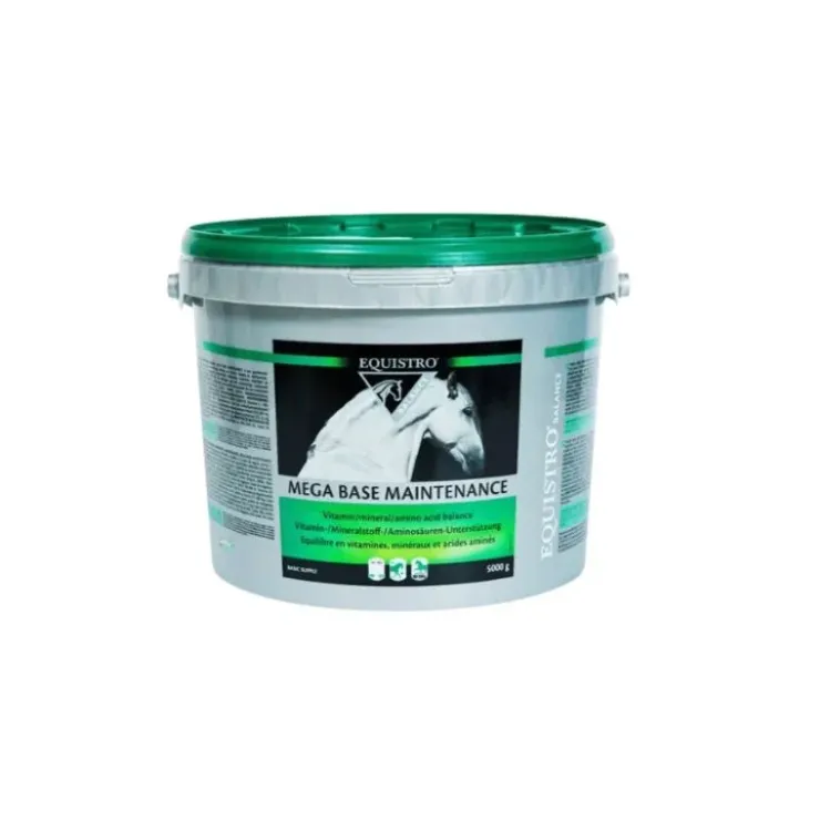 Equistro Mega Base Maintenance Outlet