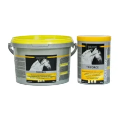 Equistro Triforce Hot