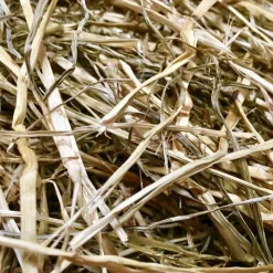 Ecolit Foin Enrubanné Chevaux Fourrage Fraicheur Online