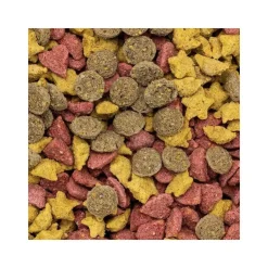 Speed Friandise Cheval Mélange Fruité New