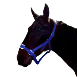 Gamme du Marechal Gamme du Maréchal Licol en biothane - Bleu roi Best
