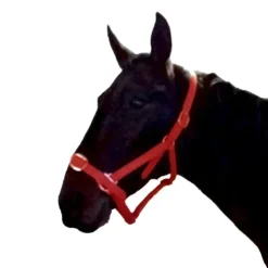 Gamme du Marechal Gamme du Maréchal Licol en biothane - Rouge Hot