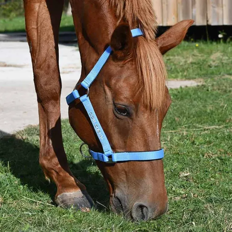 Gamme du Marechal Gamme du Maréchal Licol Nylon Triple Épaisseur - Rouge Outlet