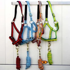 Gamme du Marechal Gamme du Maréchal Licol Triple Épaisseurs + Longe - Jaune / Vert Sale