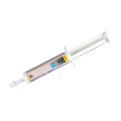 Horse Master B-Kalm Online