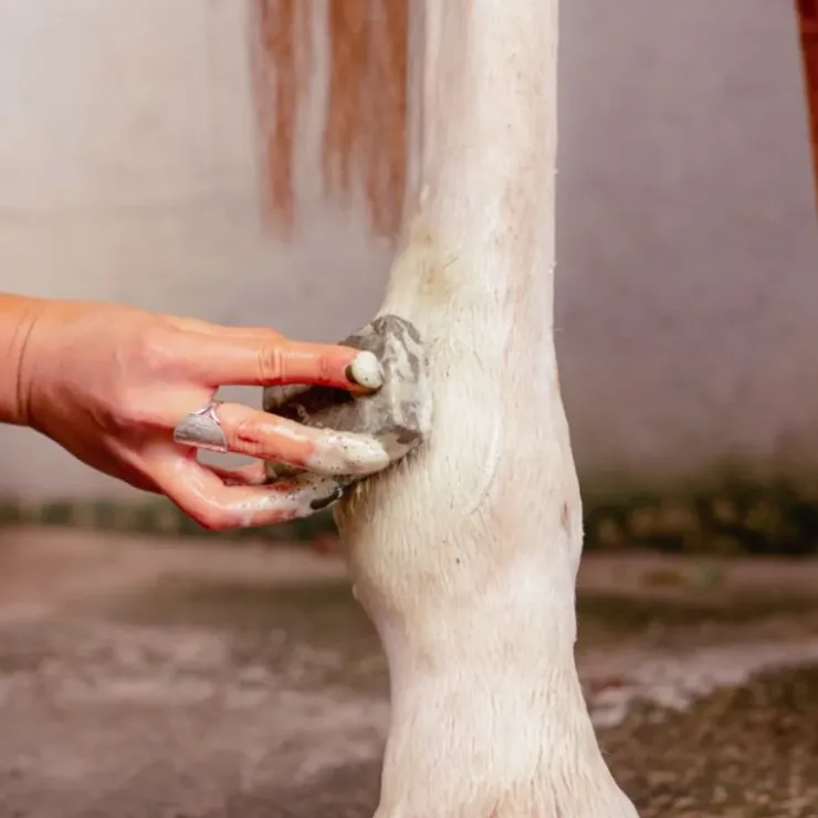 Karitale Shampoing Traitant Cutané Online