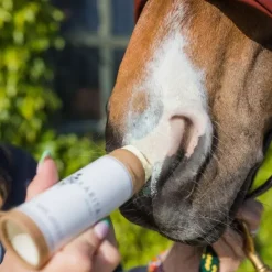 Karitale Soin Anti UV Discount