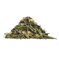 Lambey Master Elevage Floconné Poulinière & Poulain New