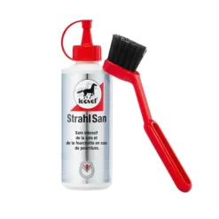 Leovet Strahl San Fourchette Pourrie New