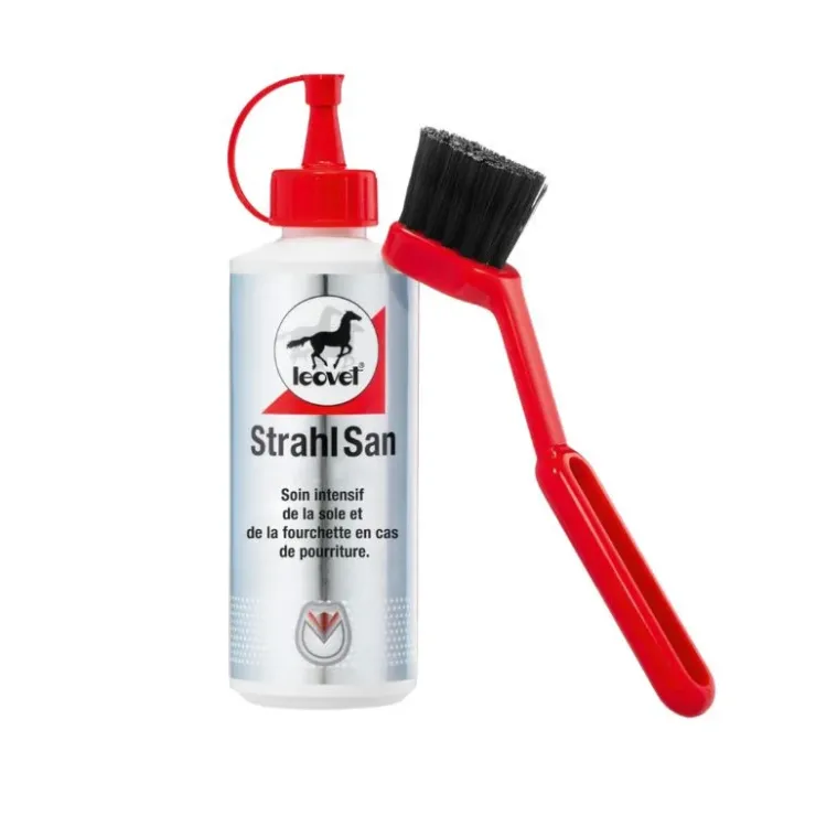 Leovet Strahl San Fourchette Pourrie New