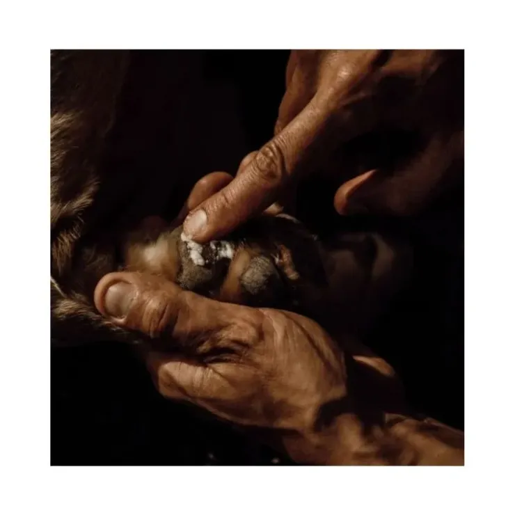 Nellumbo Baume Naturel Coussinets Best