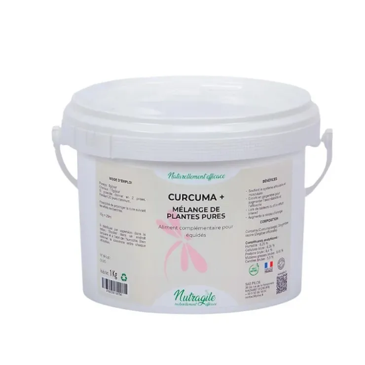Nutragile Curcuma+