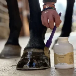 Nutragile Nutri Pied Best