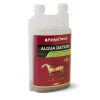 Paskacheval Algua Detox Drainage Cheval Best
