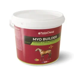 Paskacheval Myo Builder Online