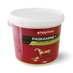 Paskacheval Paskamine CMV Cheval Best
