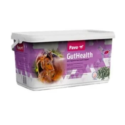 Pavo GutHealth Outlet