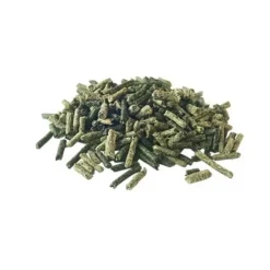 Pavo GutHealth Outlet