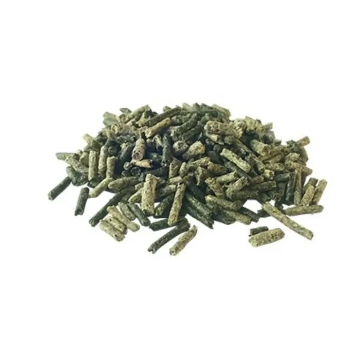 Pavo GutHealth Outlet